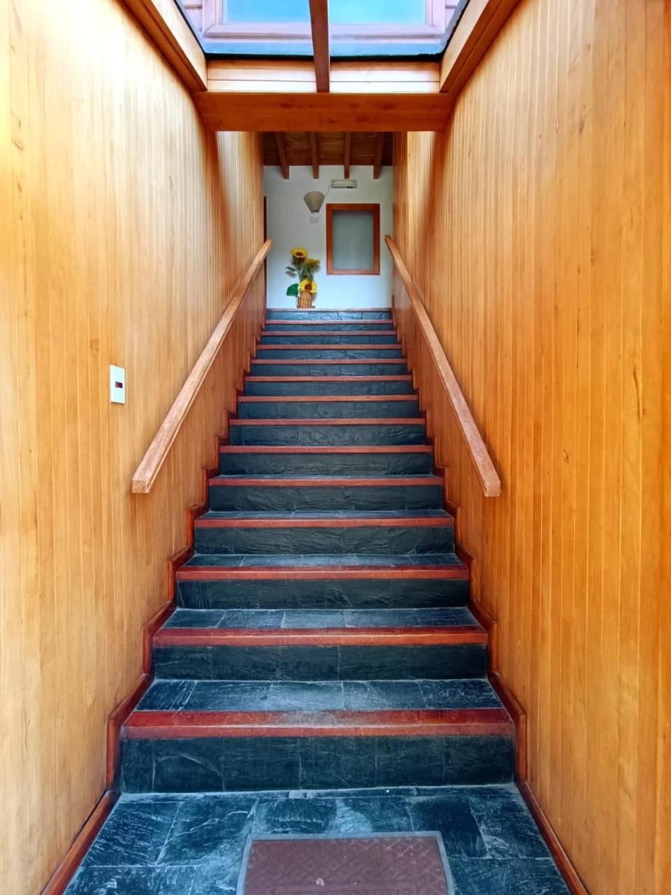 Apart Hotel Del Pellin San Martín de los Andes Zewnętrze zdjęcie