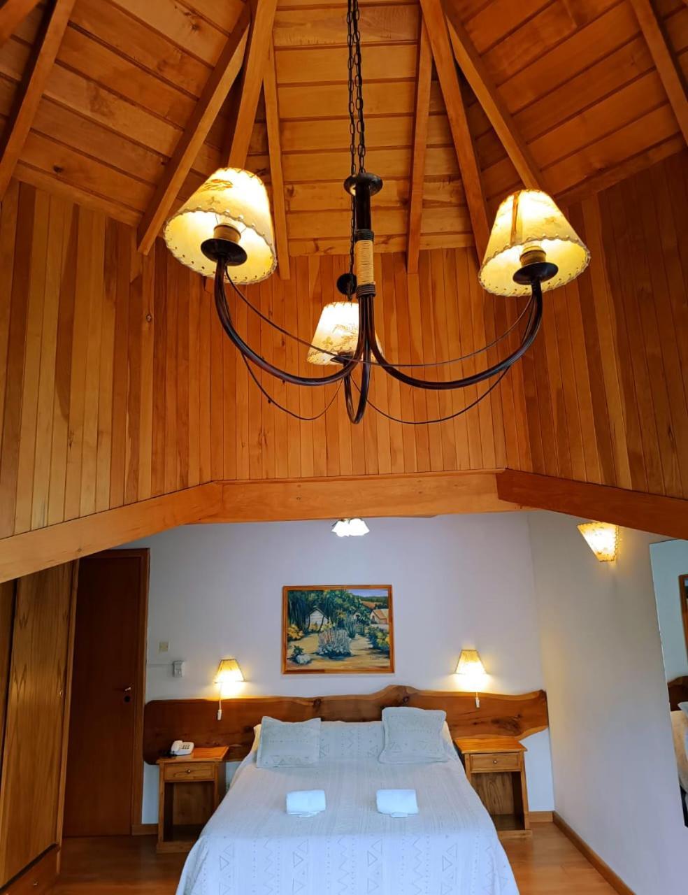 Apart Hotel Del Pellin San Martín de los Andes Zewnętrze zdjęcie