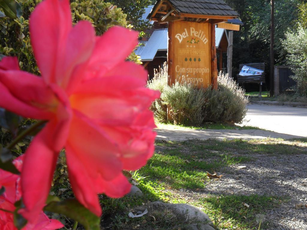 Apart Hotel Del Pellin San Martín de los Andes Zewnętrze zdjęcie